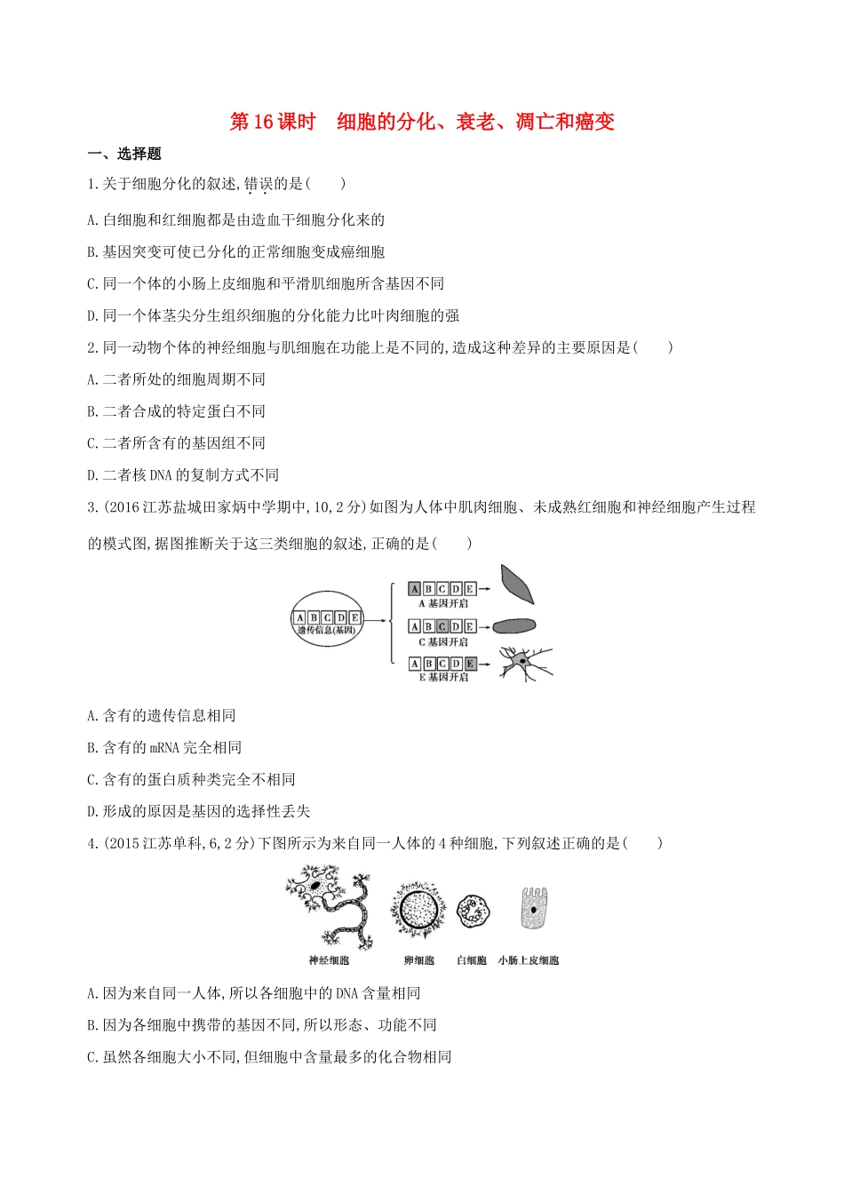 （江苏专版）高考生物一轮复习 第四单元 细胞的生命历程（第16课时）细胞的分化、衰老、凋亡和癌变模拟训练-人教版高三全册生物试题_第1页