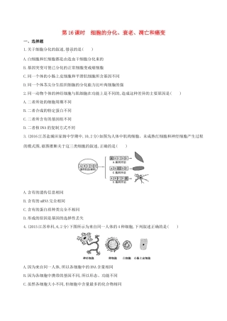 （江苏专版）高考生物一轮复习 第四单元 细胞的生命历程（第16课时）细胞的分化、衰老、凋亡和癌变模拟训练-人教版高三全册生物试题