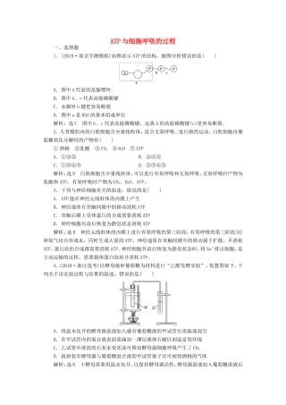 （江苏专版）高考生物一轮复习 课时跟踪检测（九）ATP与细胞呼吸的过程（含解析）-人教版高三全册生物试题