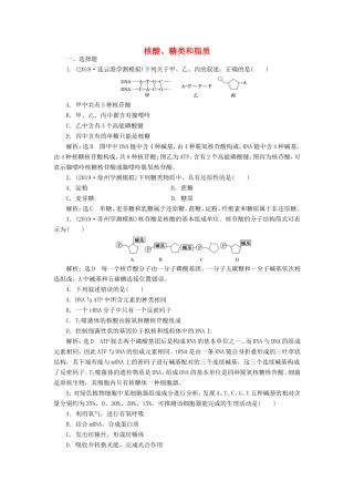 （江苏专版）高考生物一轮复习 课时跟踪检测（四）核酸、糖类和脂质（含解析）-人教版高三全册生物试题