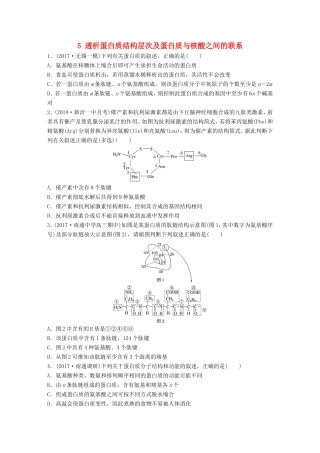 （江苏专版）高考生物一轮复习 重点强化练5 透析蛋白质结构层次及蛋白质与核酸之间的联系 新人教版-新人教版高三全册生物试题