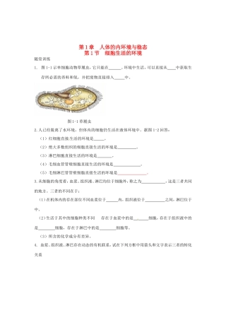 高中生物 第1章 第1节 细胞生活的环境课时训练 新人教版必修3