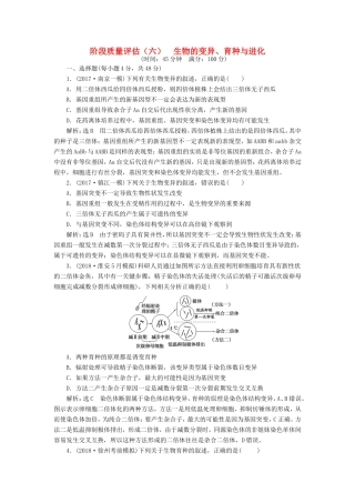 高考生物一轮复习 第二部分 遗传与进化 第三单元 生物变异、育种和进化 阶段质量评估（六）生物的变异、育种与进化-人教版高三生物试题