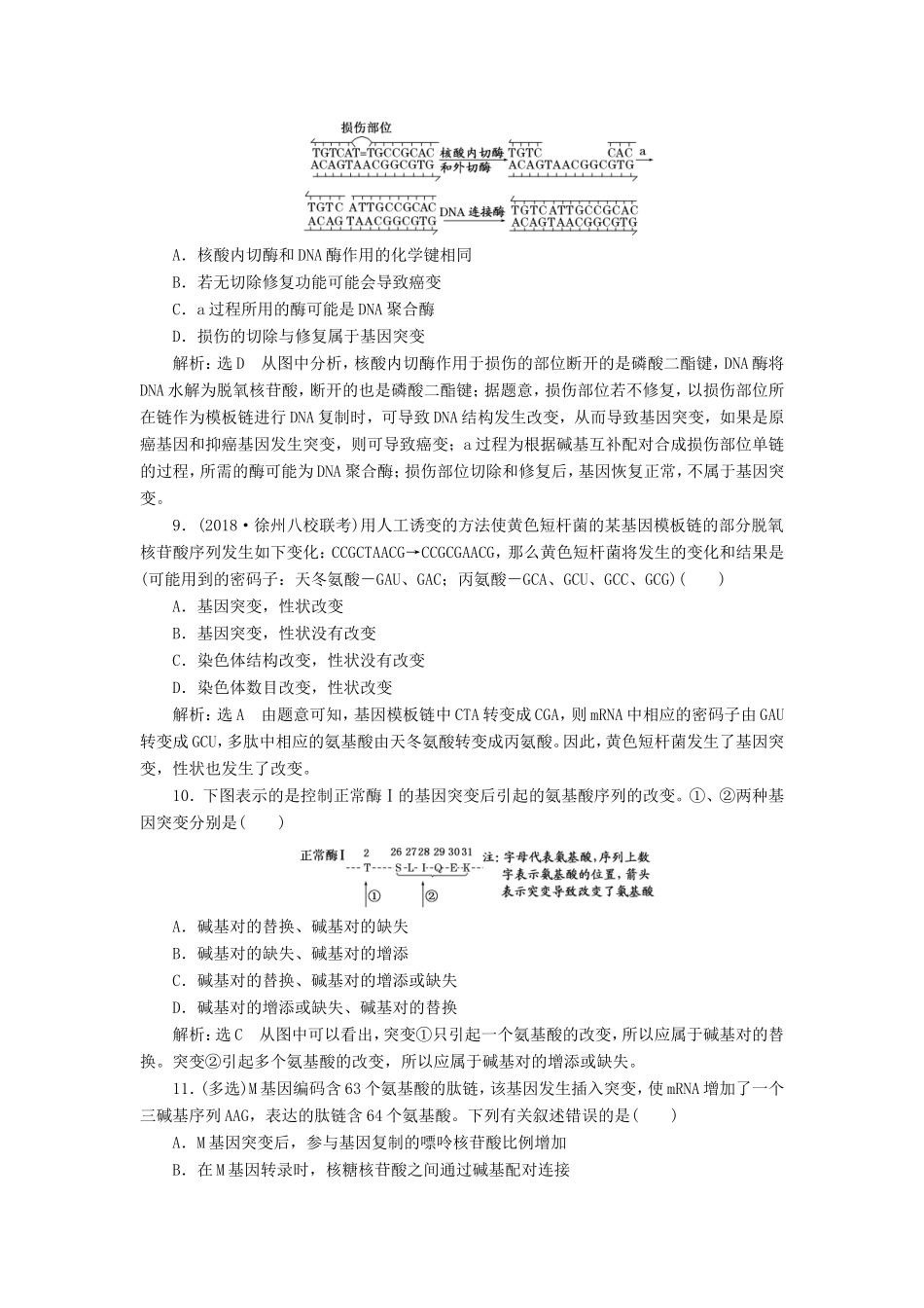 高考生物一轮复习 第二部分 遗传与进化 第三单元 生物变异、育种和进化 课时跟踪检测（二十四）基因突变和基因重组-人教版高三生物试题_第3页