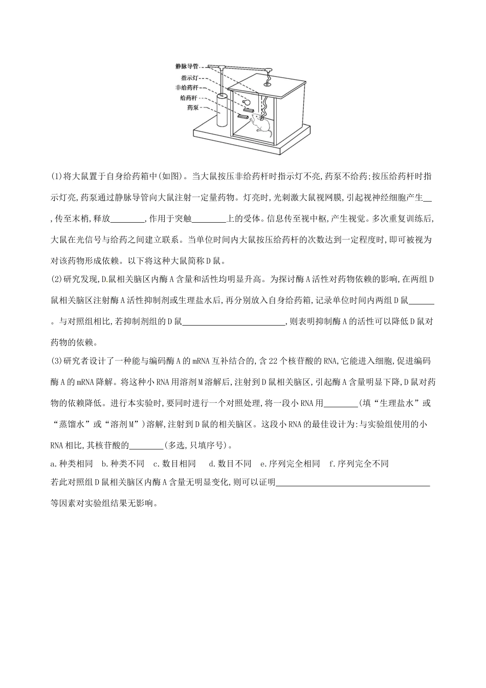 高考生物一轮复习 第九单元 生物个体的稳态（第32课时）人体的神经调节模拟训练-人教版高三生物试题_第3页