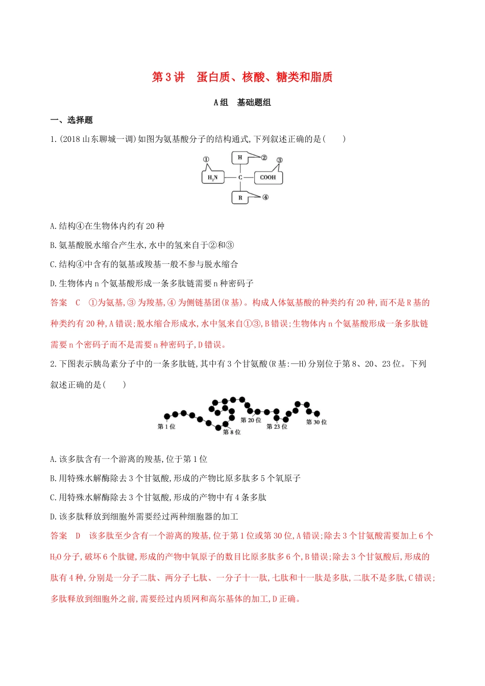 山东省高考生物新攻略大一轮复习 第1单元 走近细胞与细胞的分子组成 第3讲 蛋白质、核酸、糖类和脂质夯基提能作业（含解析）-人教版高三全册生物试题_第1页