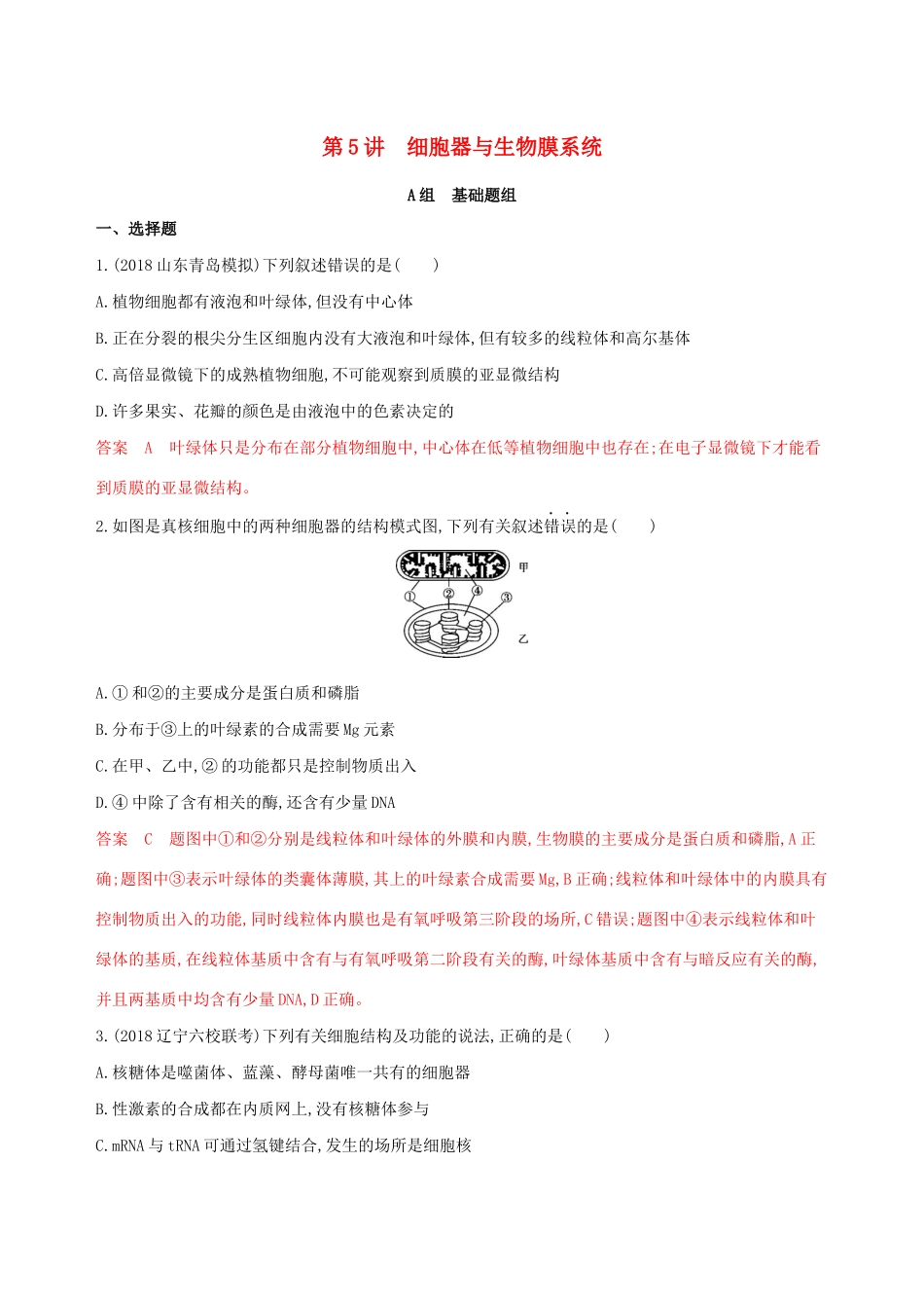 山东省高考生物新攻略大一轮复习 第2单元 细胞的基本结构和物质的运输 第5讲 细胞器与生物膜系统夯基提能作业（含解析）-人教版高三全册生物试题_第1页