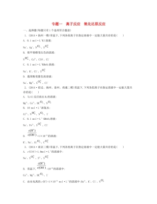 （江苏专用）高考化学二轮复习 专题一 离子反应 氧化还原反应检测与评估-人教版高三全册化学试题
