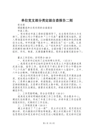 2024年单位党支部分类定级自查报告二则