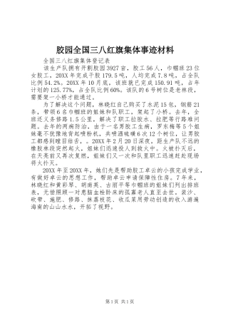 2024年胶园全国三八红旗集体事迹材料