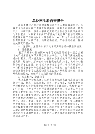 2024年单位回头看自查报告