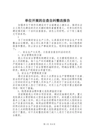 2024年单位开展的自查自纠整改报告