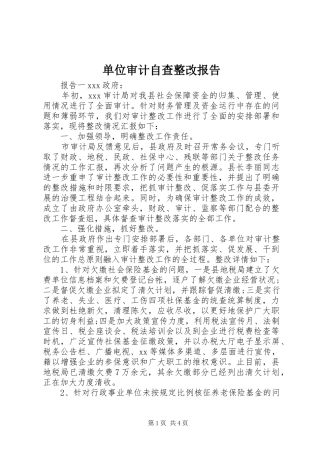 2024年单位审计自查整改报告