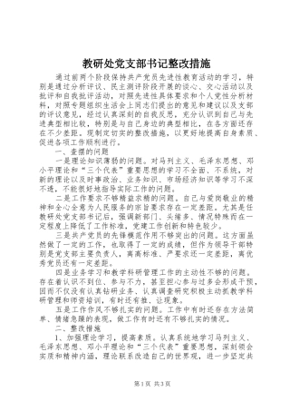 2024年教研处党支部书记整改措施