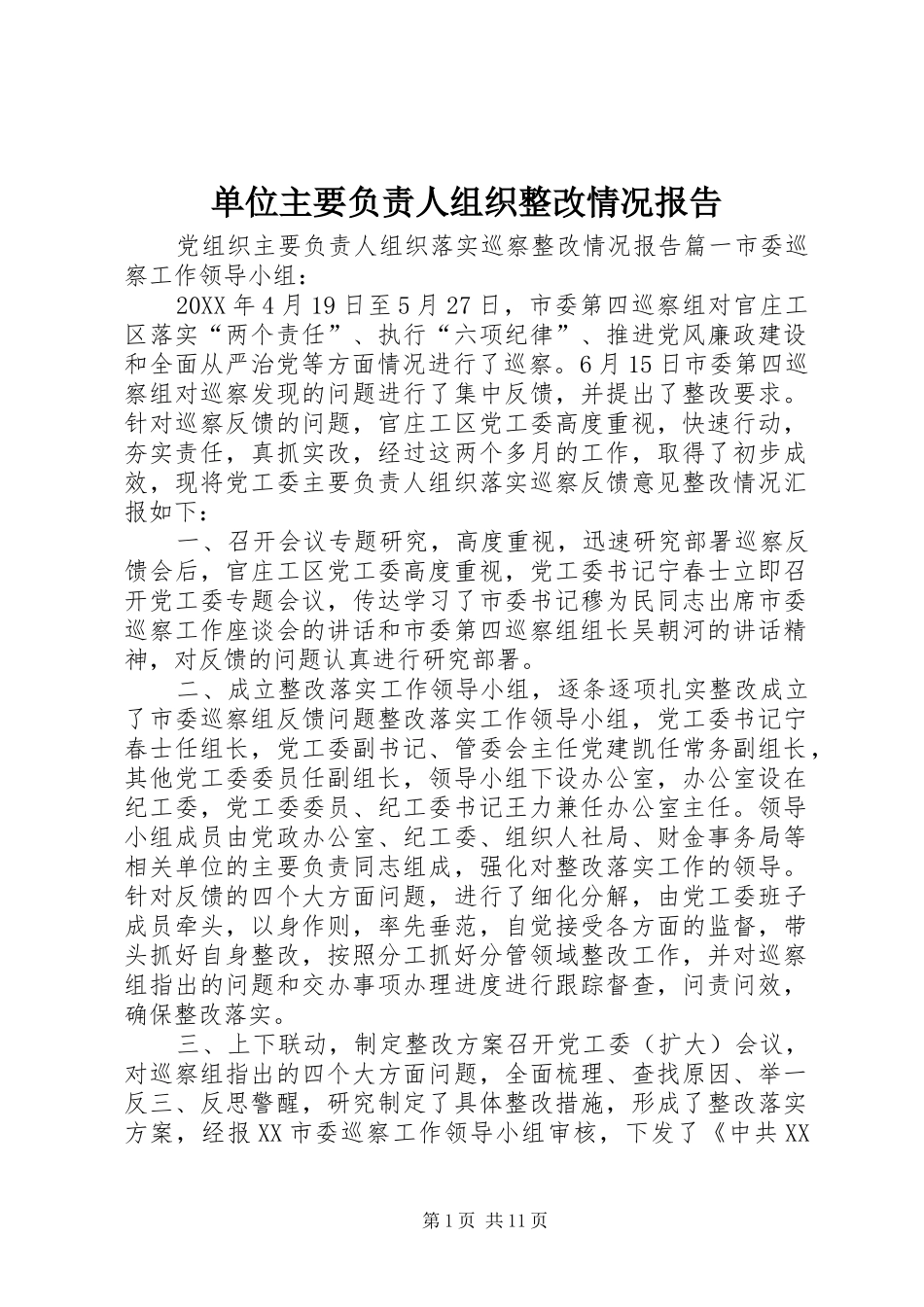 2024年单位主要负责人组织整改情况报告_第1页