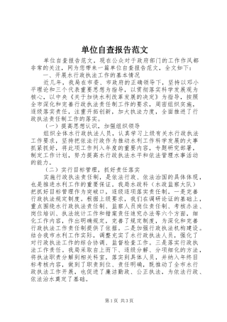 2024年单位自查报告范文