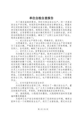 2024年单位自检自查报告