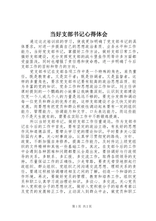 2024年当好支部书记心得体会