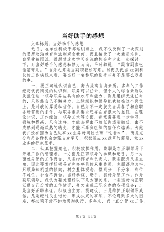 2024年当好助手的感想