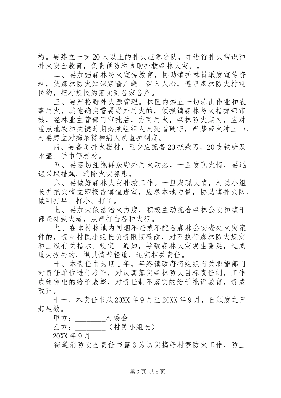 2024年街道消防安全责任书_第3页