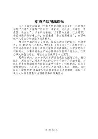 2024年街道消防演练简报