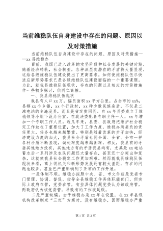 2024年当前维稳队伍自身建设中存在的问题原因以及对策措施