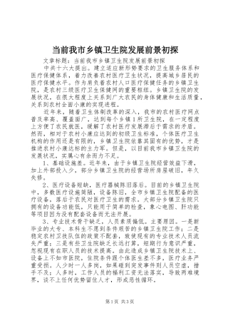 2024年当前我市乡镇卫生院发展前景初探