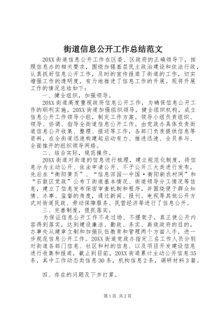 2024年街道信息公开工作总结范文