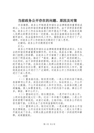 2024年当前政务公开存在的问题原因及对策