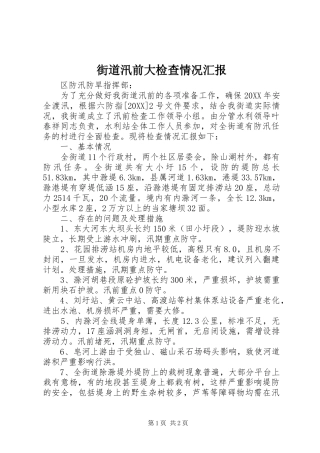 2024年街道汛前大检查情况汇报
