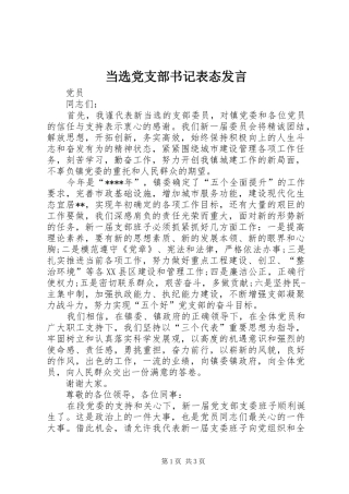 2024年当选党支部书记表态讲话