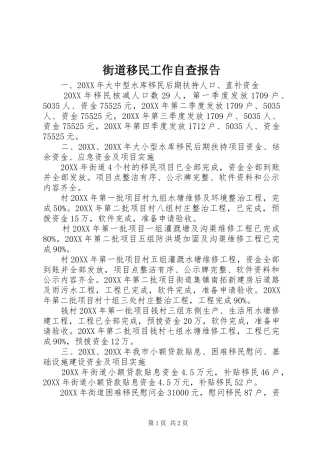 2024年街道移民工作自查报告