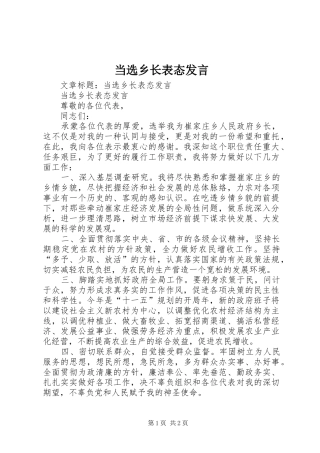 2024年当选乡长表态讲话