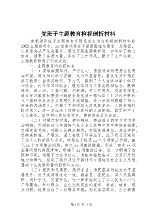 2024年党班子主题教育检视剖析材料