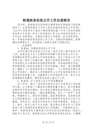 2024年街道政务信息公开工作自查报告