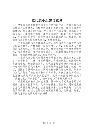 2024年党代表小组建设意见
