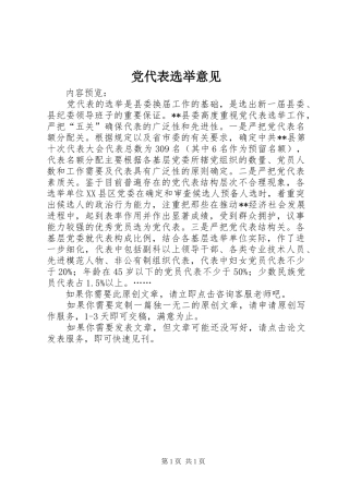 2024年党代表选举意见