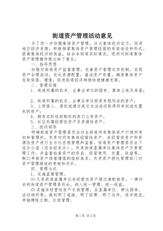 2024年街道资产管理活动意见