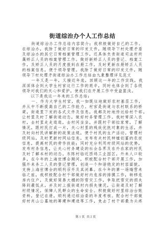 2024年街道综治办个人工作总结