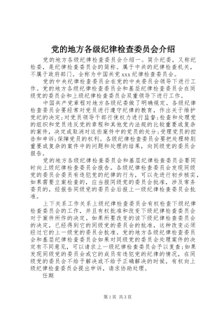 2024年党的地方各级纪律检查委员会介绍
