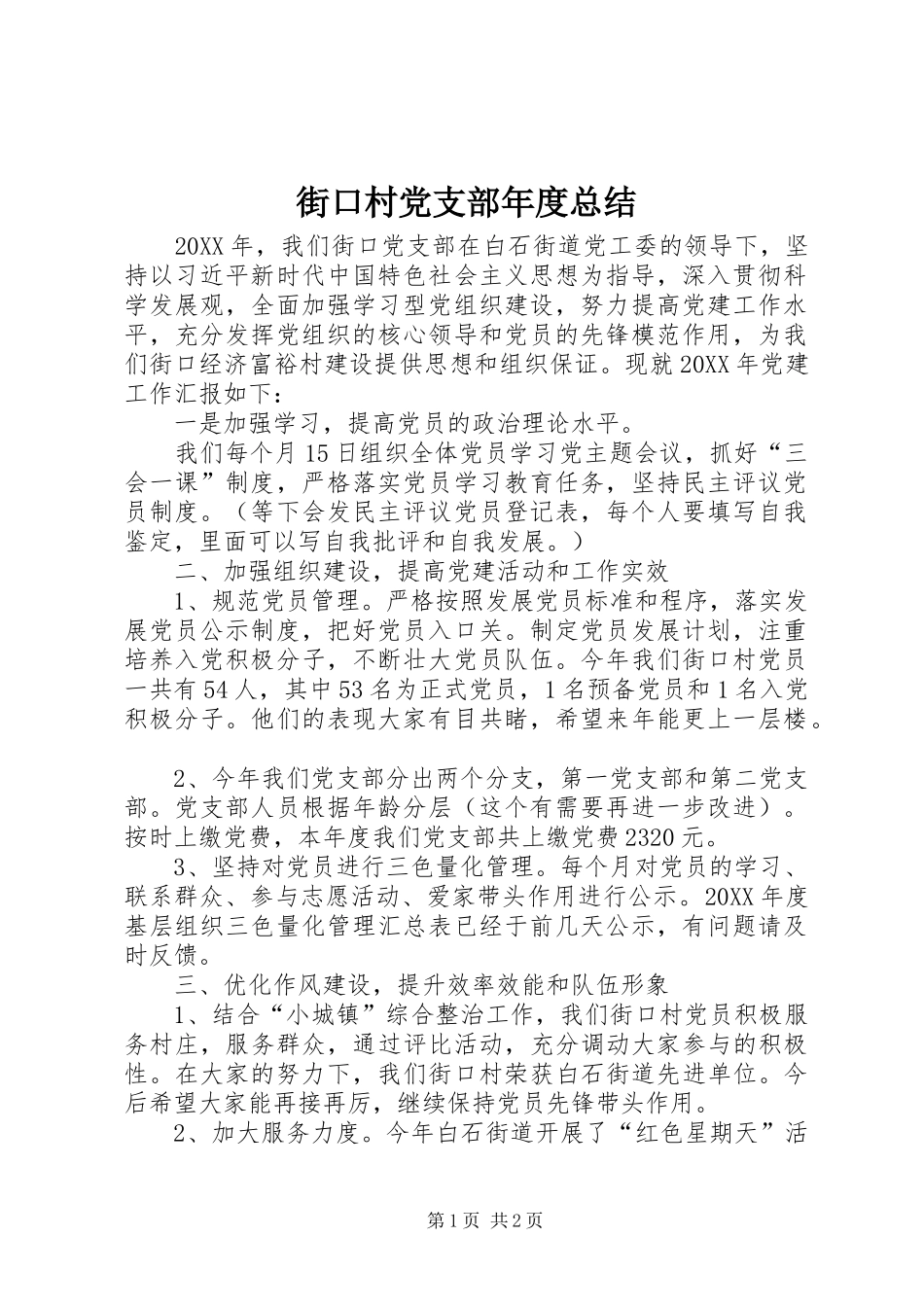 2024年街口村党支部年度总结_第1页