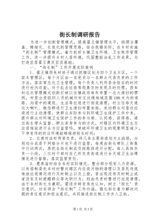 2024年街长制调研报告