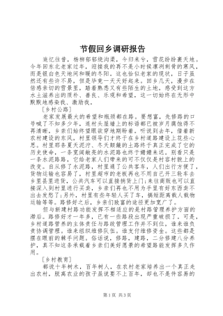 2024年节假回乡调研报告