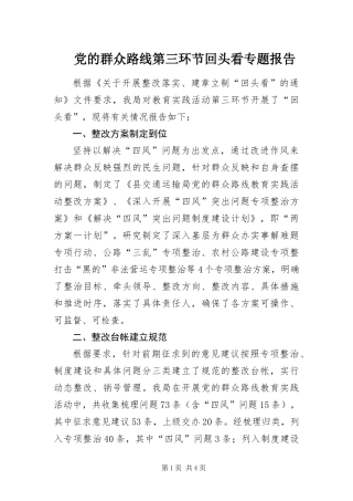 2024年党的群众路线第三环节回头看专题报告