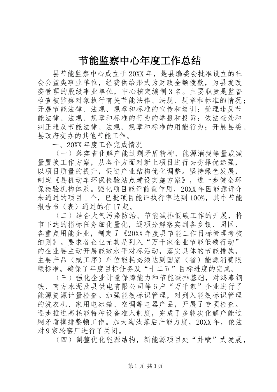 2024年节能监察中心年度工作总结_第1页