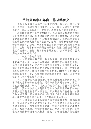 2024年节能监察中心年度工作总结范文