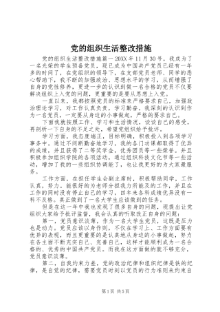2024年党的组织生活整改措施