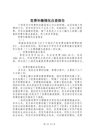 2024年党费补缴情况自查报告