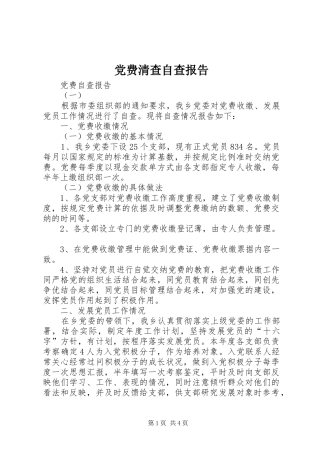 2024年党费清查自查报告