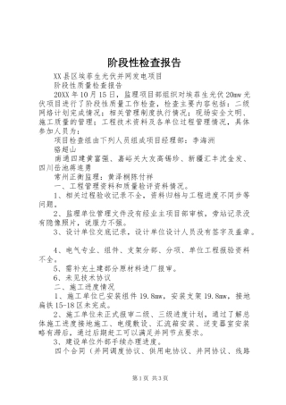 2024年阶段性检查报告